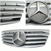 W210 00-02 Grille Silver